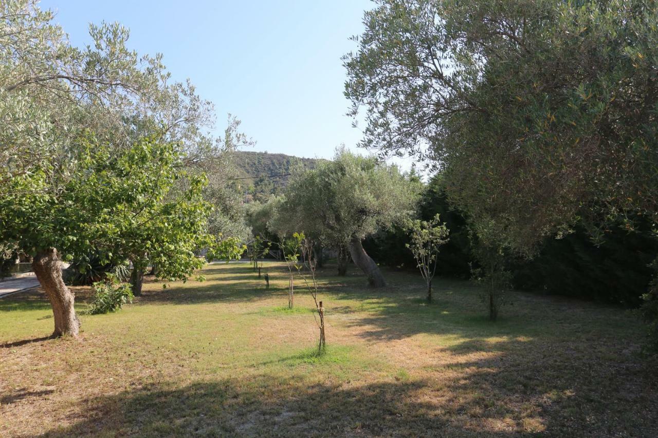 Villa Argo 3 - Beachfront, Big Gardens, Location! Pefkochori Exteriör bild